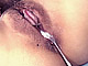 ÌðÂô¤â¤¨ ¥ª¥ê¥¸¥Ê¥ëÆÈÀê¥à¡¼¥Ó¡¼