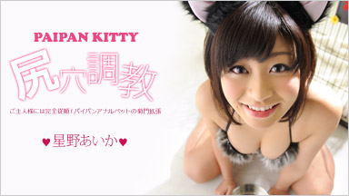 星野愛香 “ Paipan Kitty的肛門訓練”