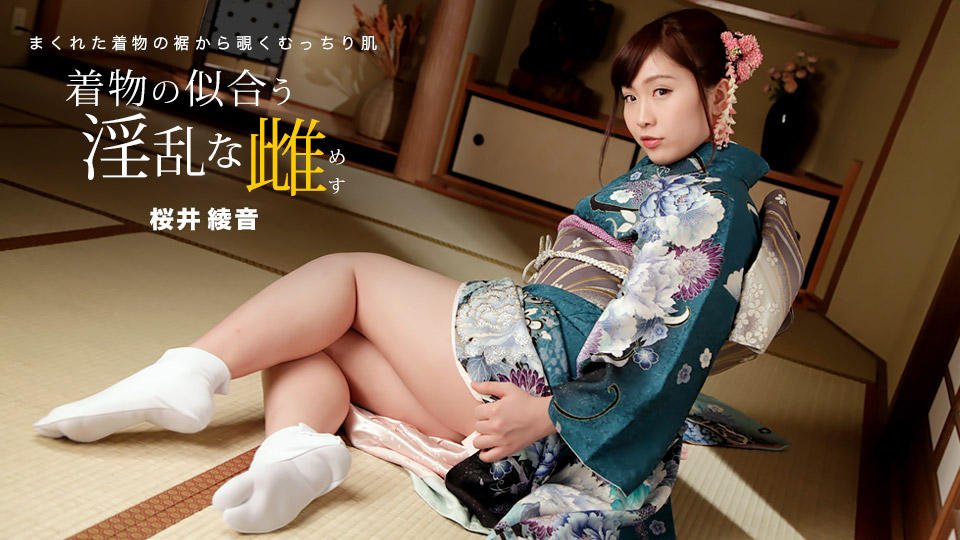Kimono Slut :: Ayane Sakurai